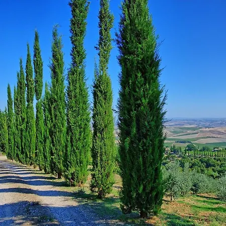 Villa Montalcino Montalcino